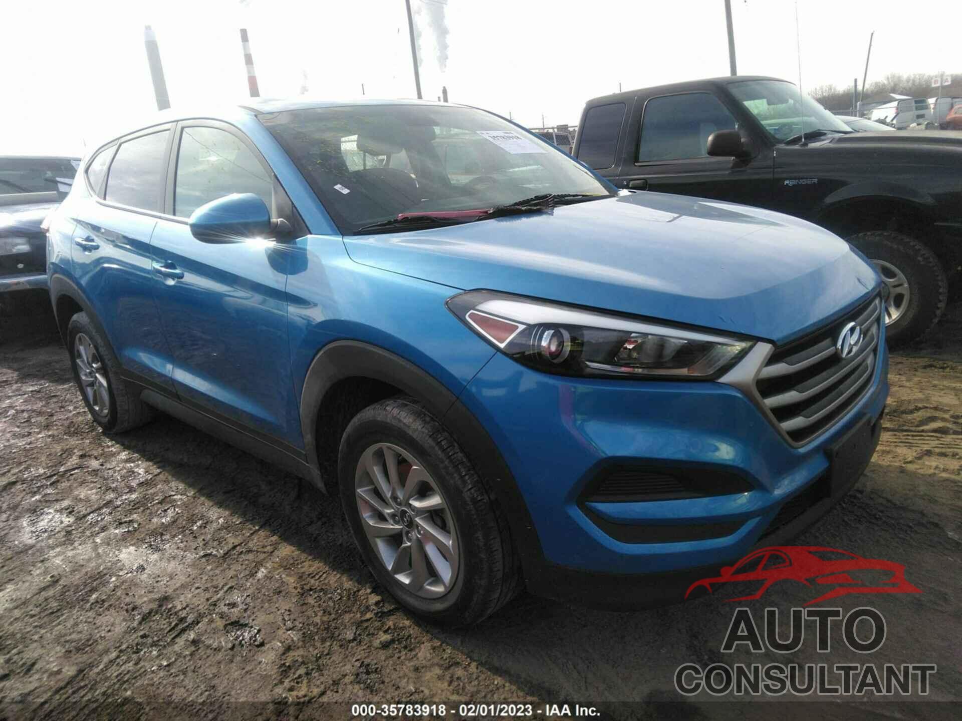 HYUNDAI TUCSON 2017 - KM8J23A42HU288699