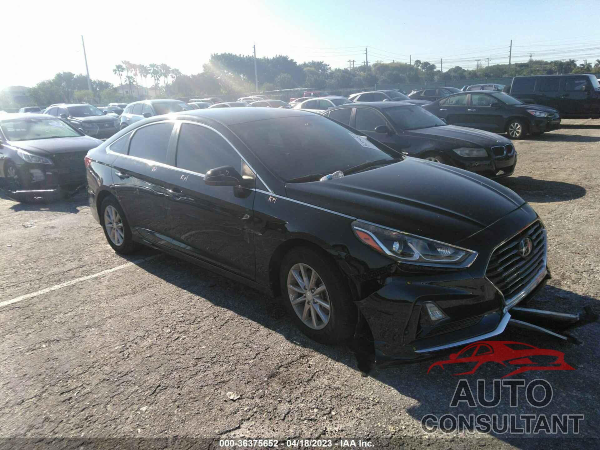 HYUNDAI SONATA 2019 - 5NPE24AF8KH778658