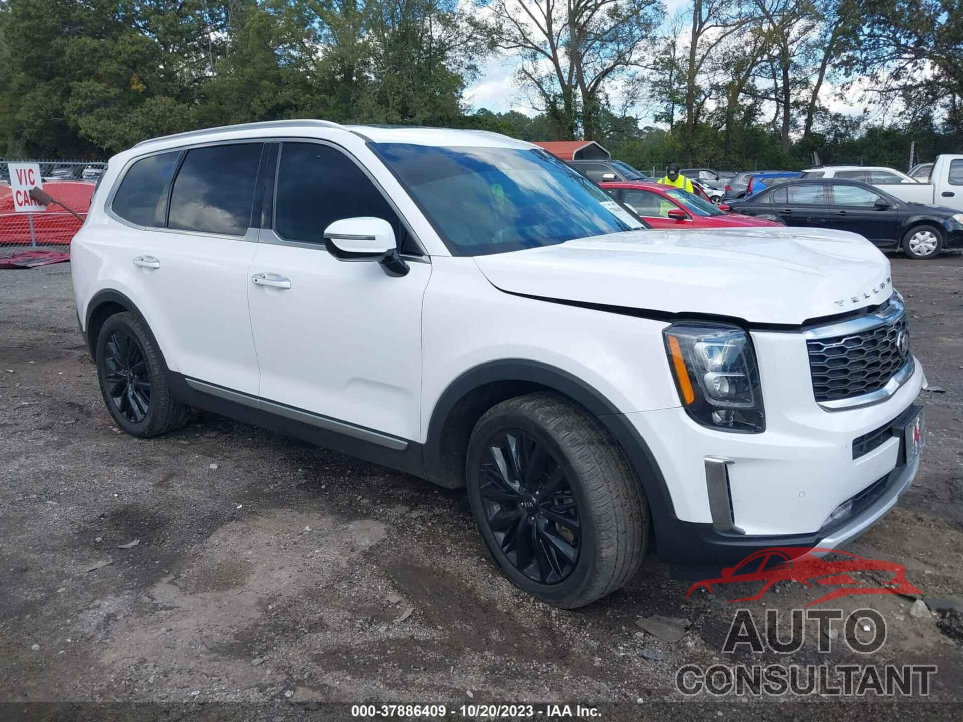 KIA TELLURIDE 2021 - 5XYP5DHC6MG123341