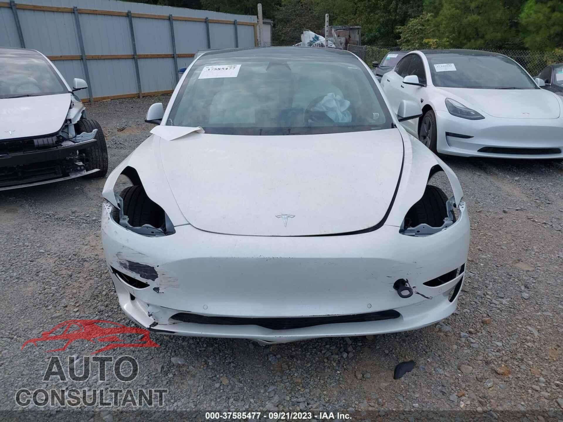 TESLA MODEL 3 2021 - 5YJ3E1EA5MF987580