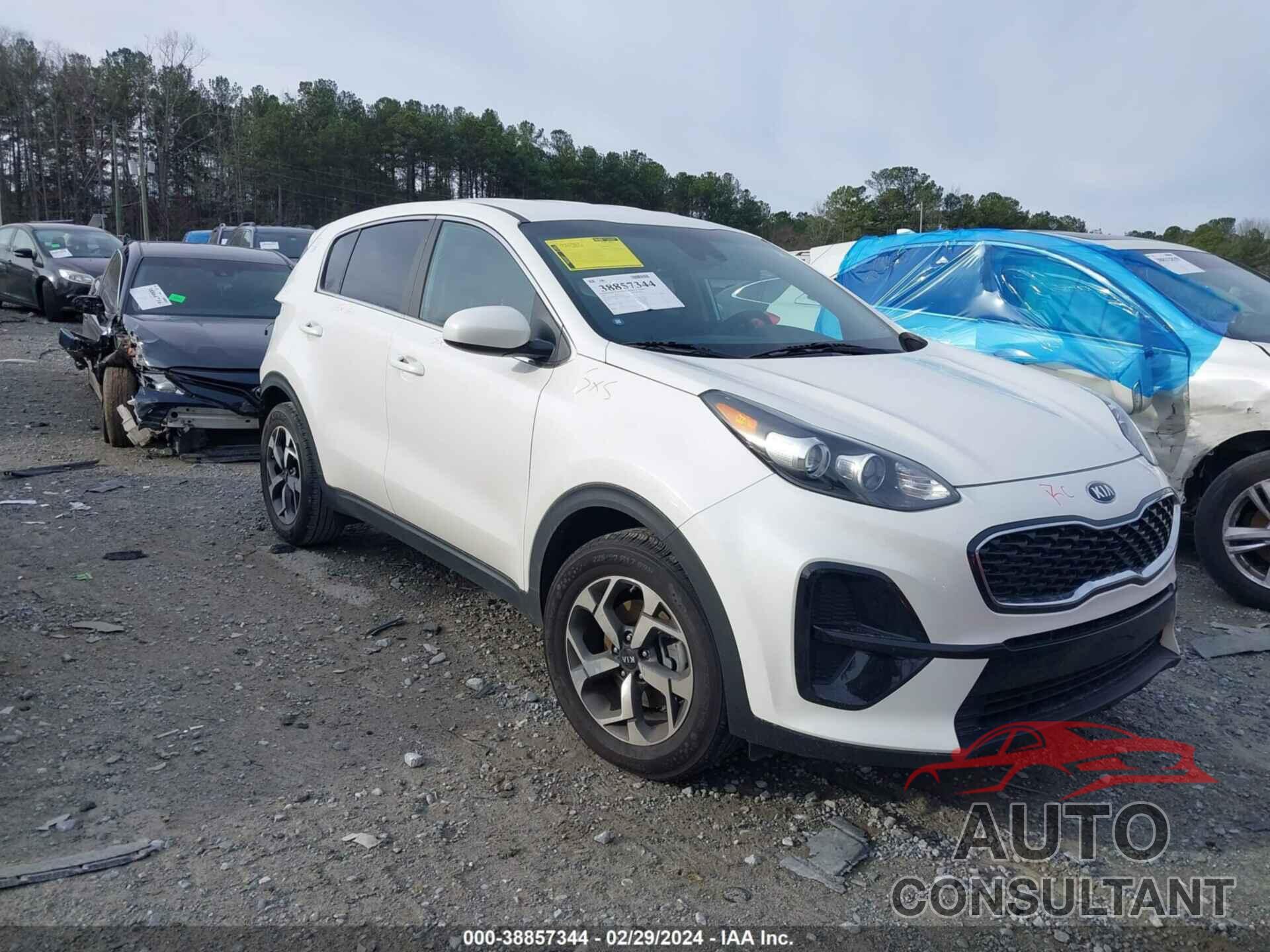 KIA SPORTAGE 2022 - KNDPM3AC4N7017427