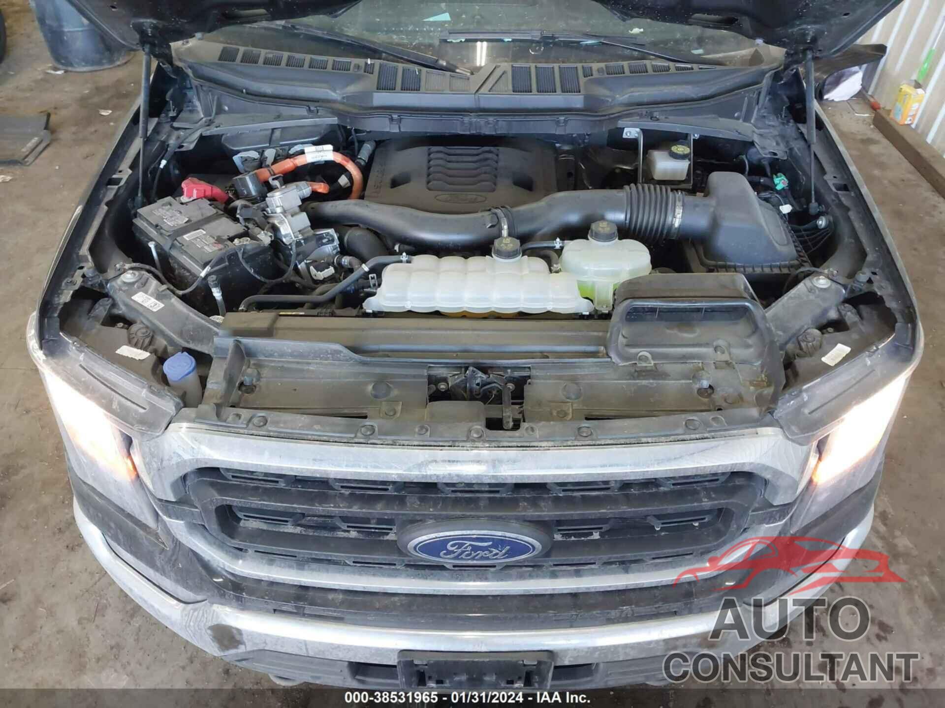 FORD F-150 2023 - 1FTFW1ED5PFA91851