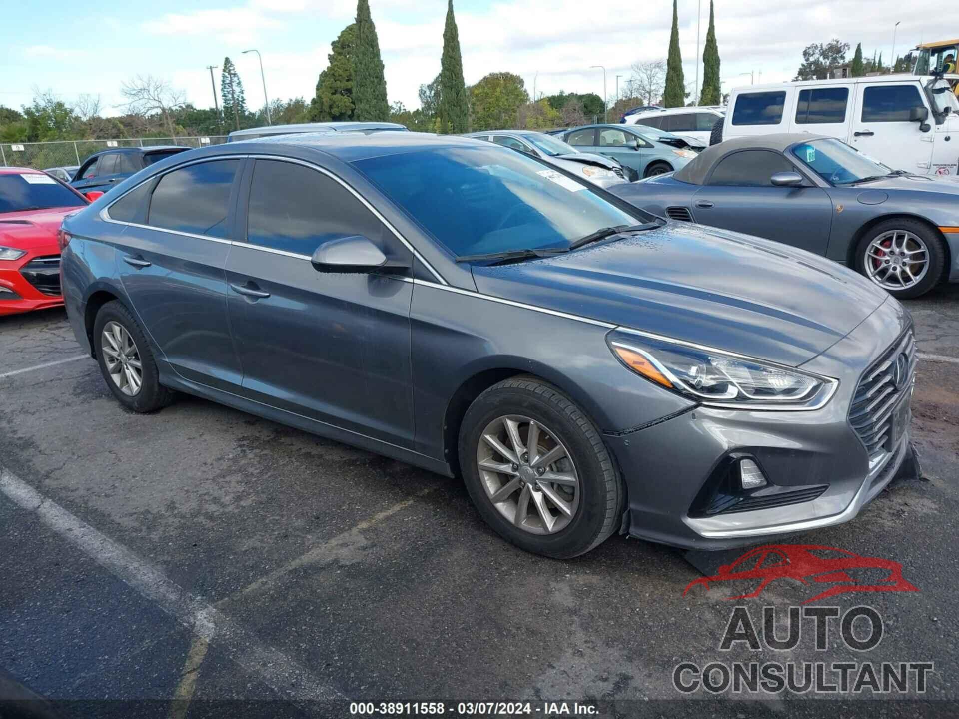 HYUNDAI SONATA 2019 - 5NPE24AF9KH788597