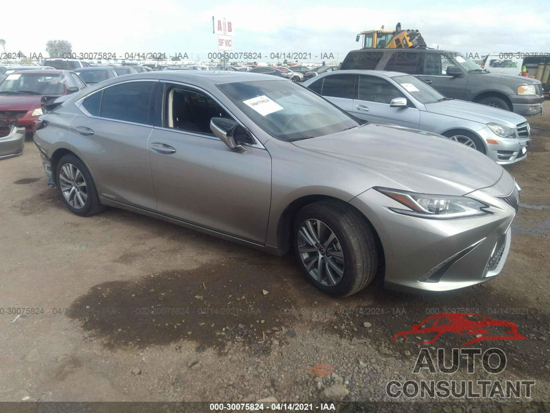 LEXUS ES 2020 - 58AC21B17LU007242