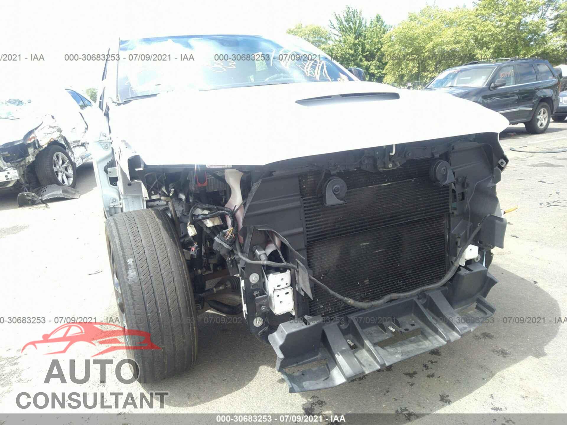 DODGE DURANGO 2019 - 1C4SDJCT5KC769782