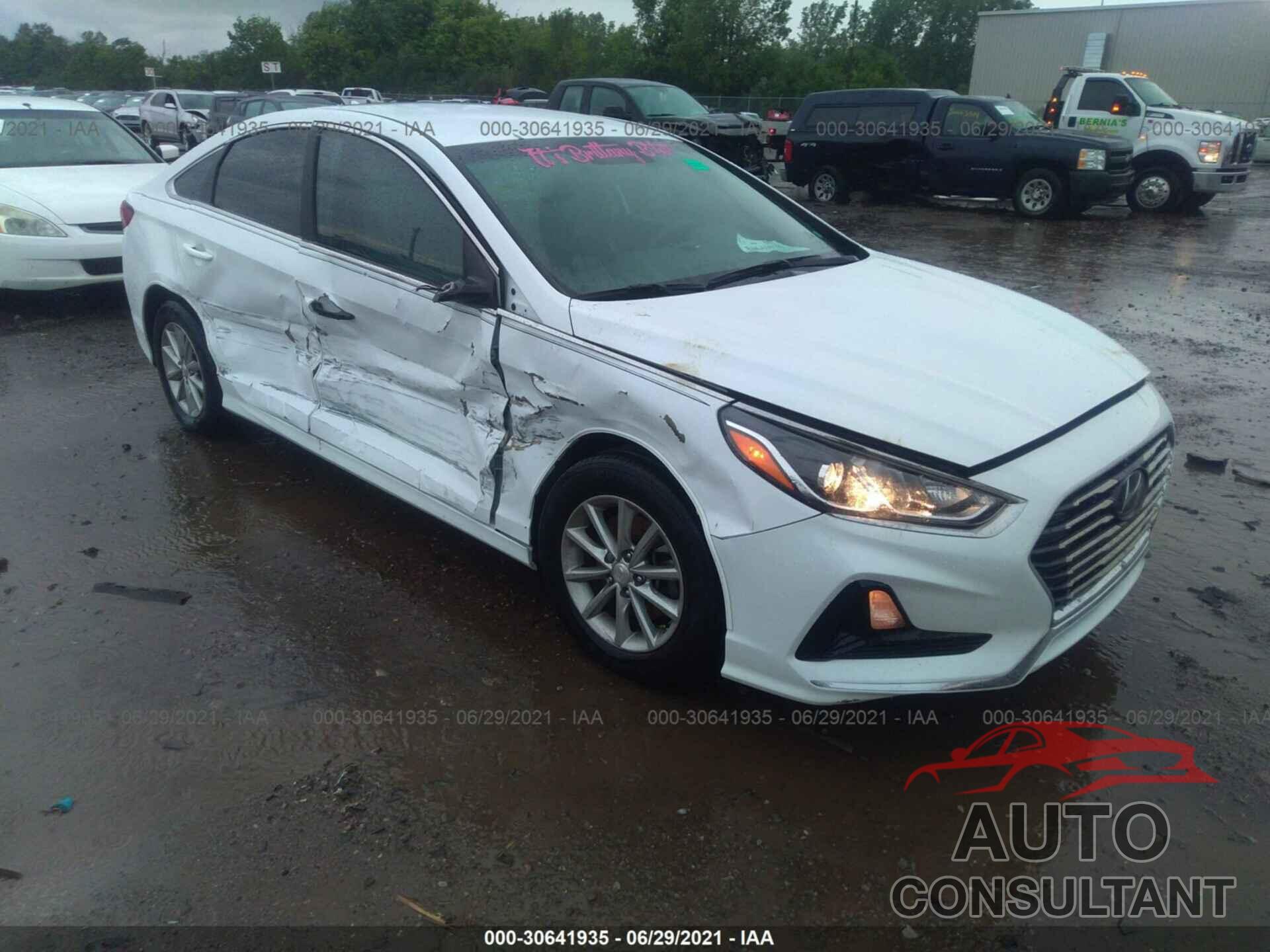 HYUNDAI SONATA 2019 - 5NPE24AF2KH731478