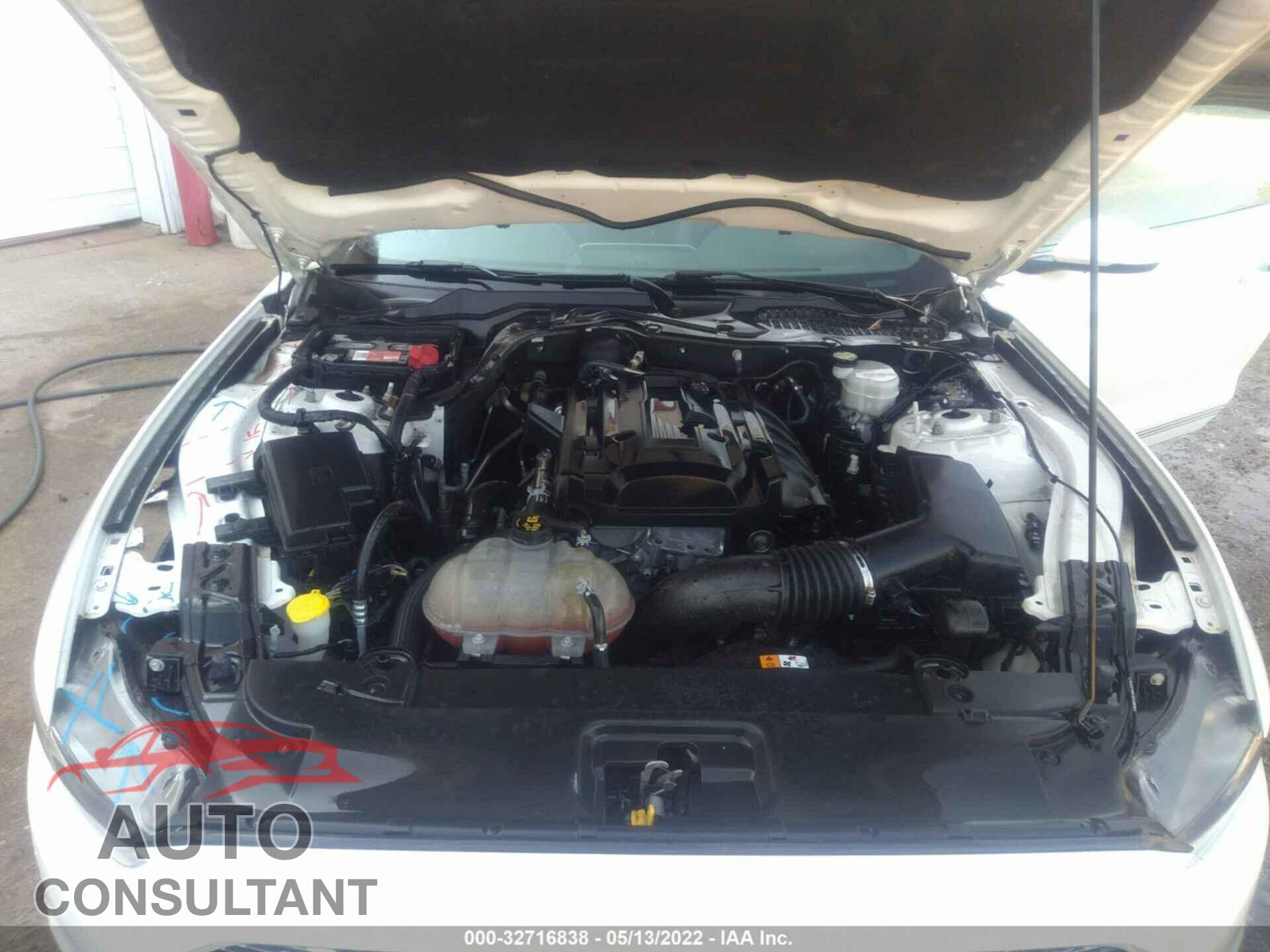 FORD MUSTANG 2017 - 1FA6P8TH7H5246571