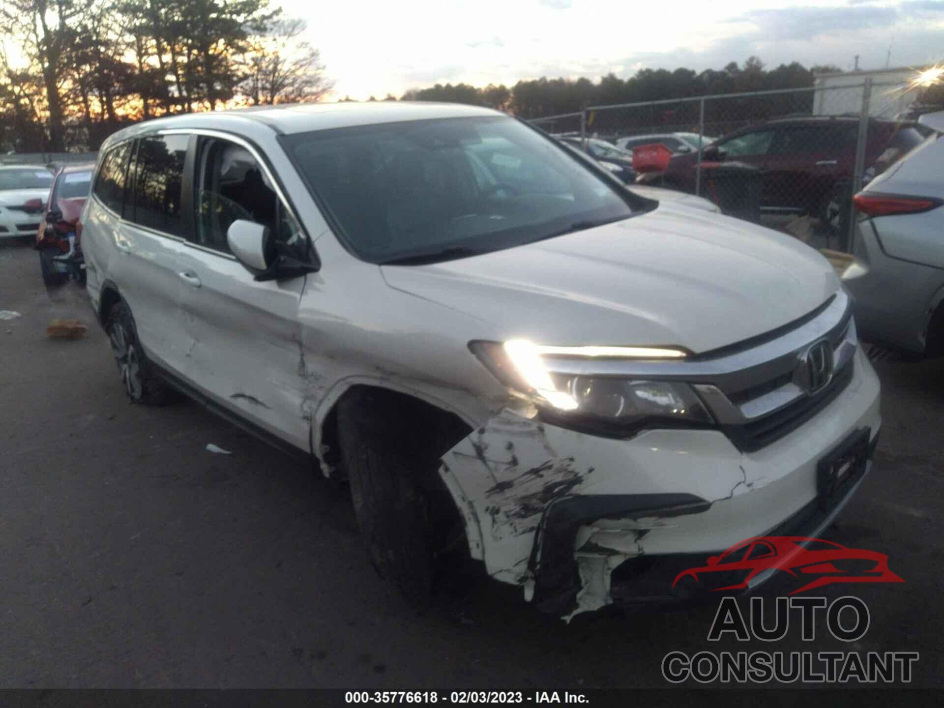 HONDA PILOT 2019 - 5FNYF6H53KB034331