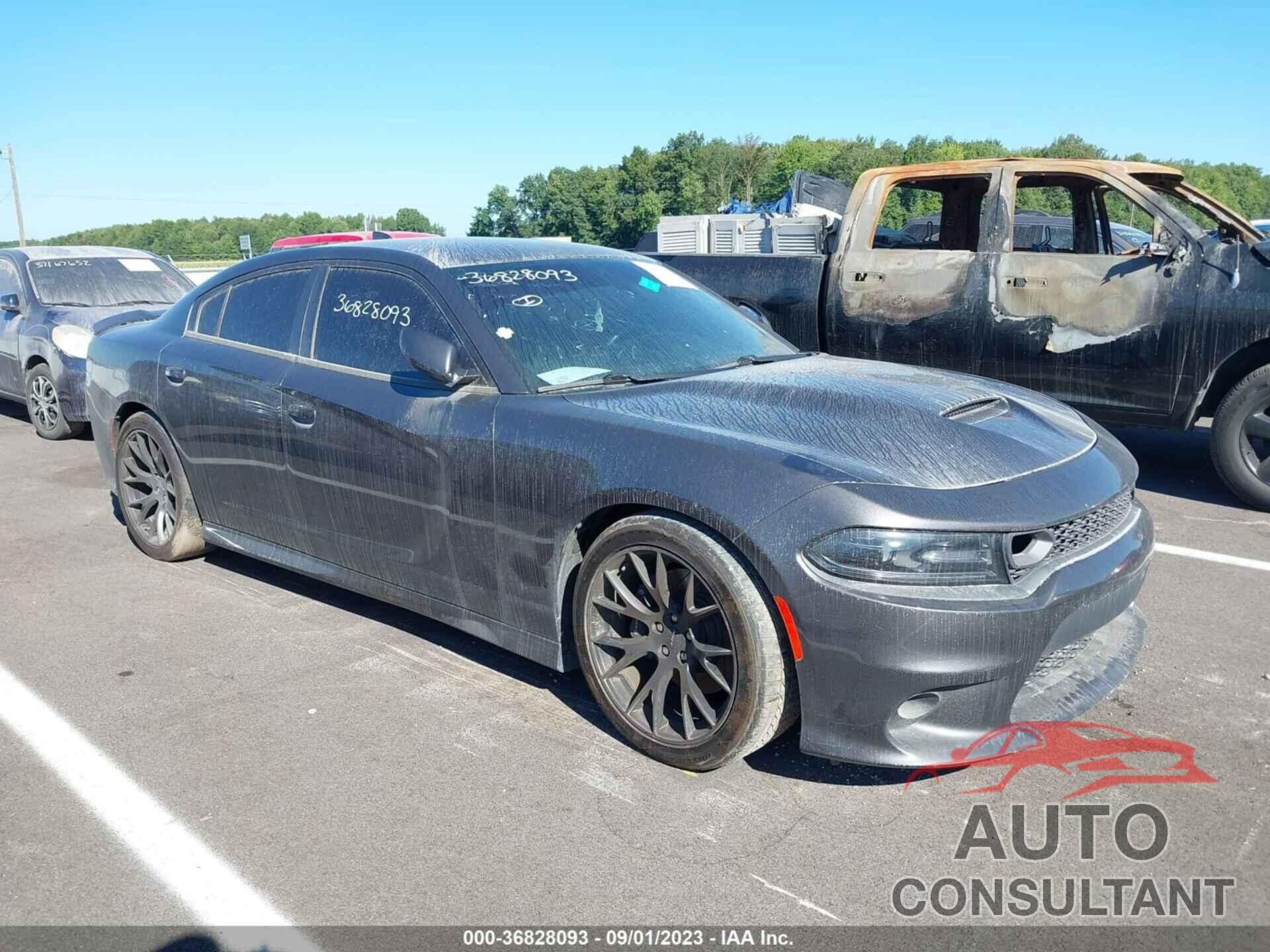 DODGE CHARGER 2019 - 2C3CDXGJ9KH623970