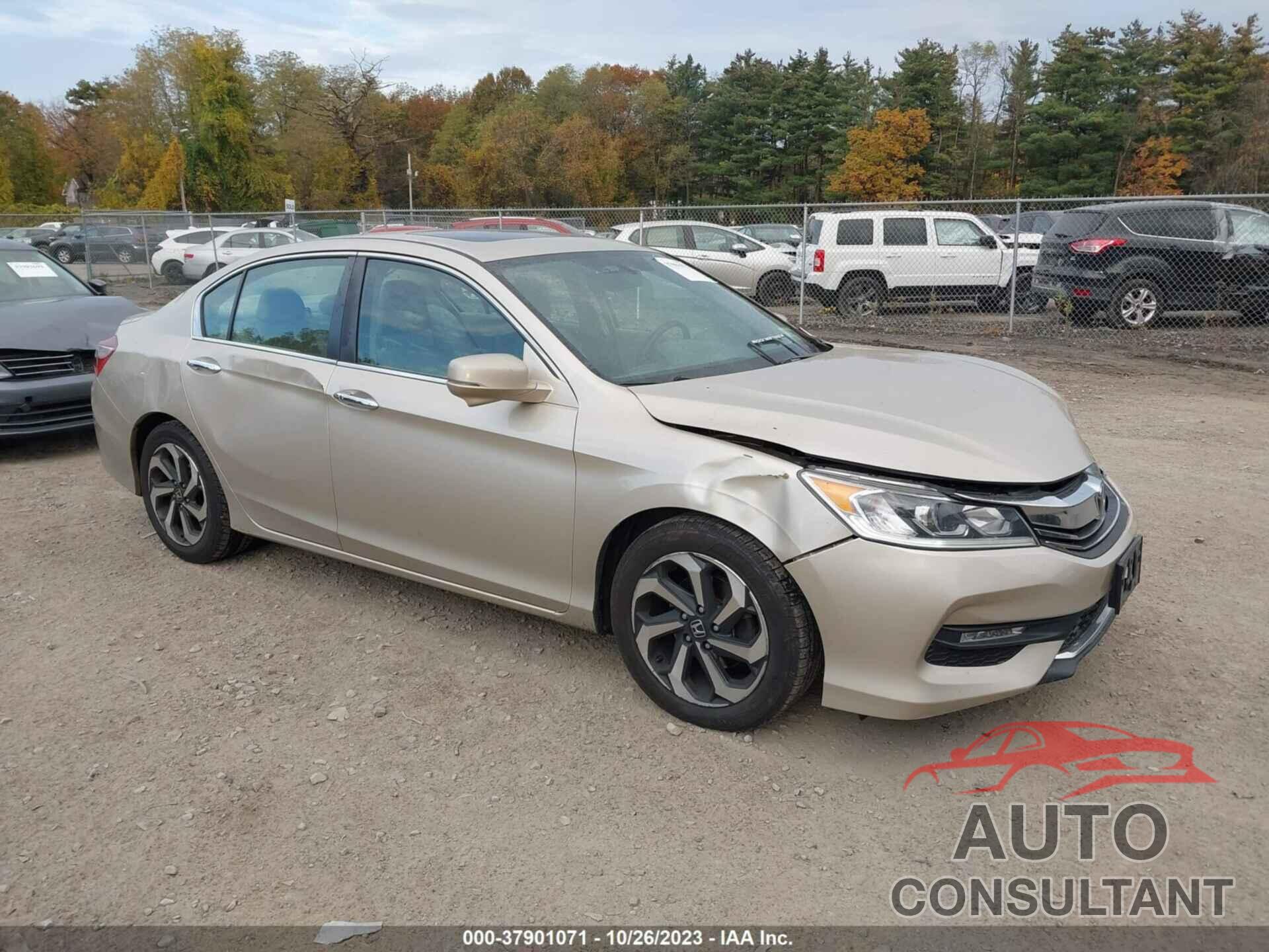 HONDA ACCORD SEDAN 2016 - 1HGCR2F84GA141753