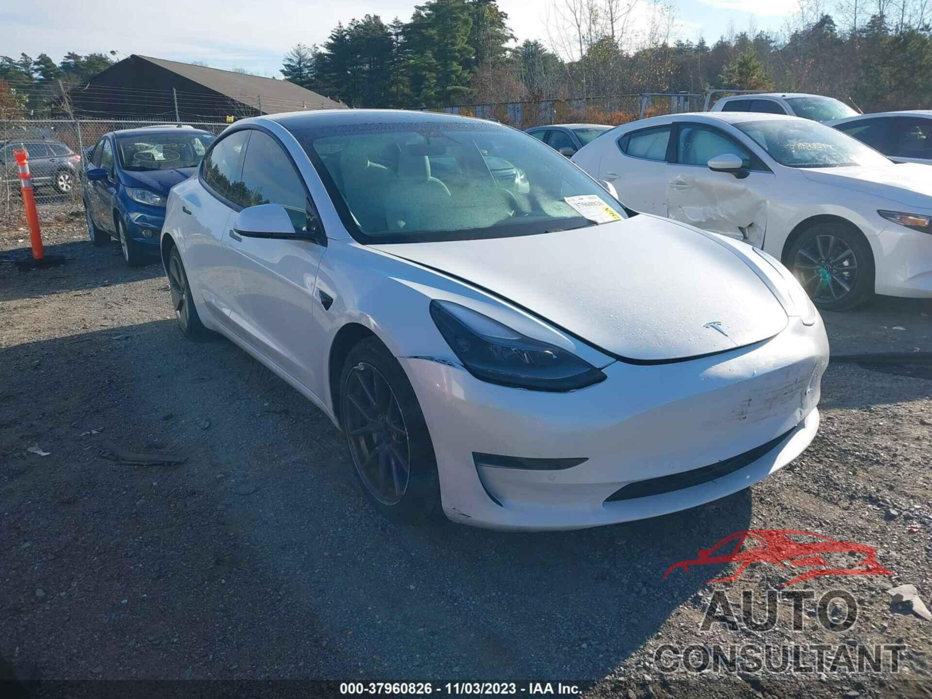TESLA MODEL 3 2021 - 5YJ3E1EA2MF978318