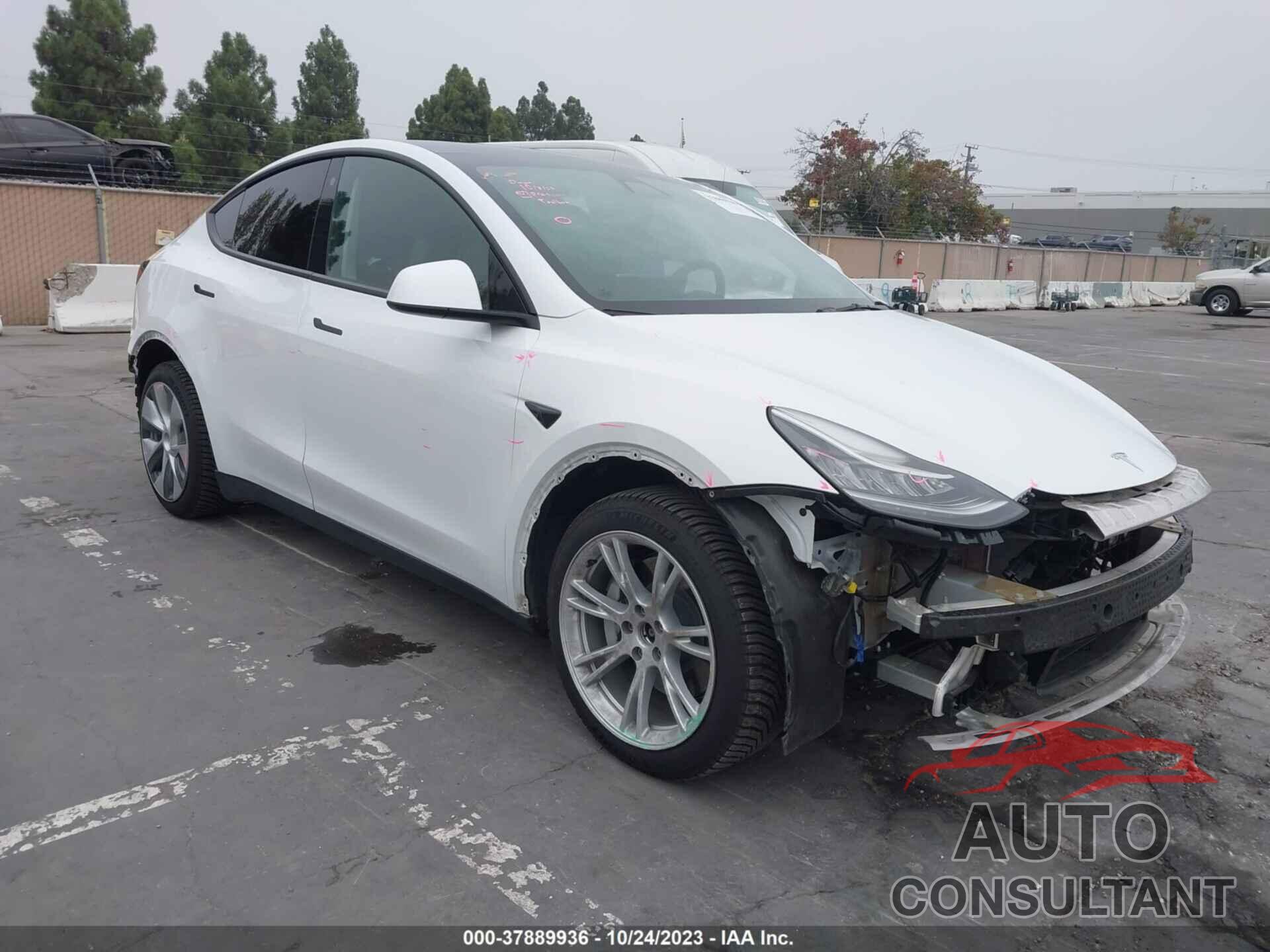 TESLA MODEL Y 2022 - 7SAYGAEE3NF420730