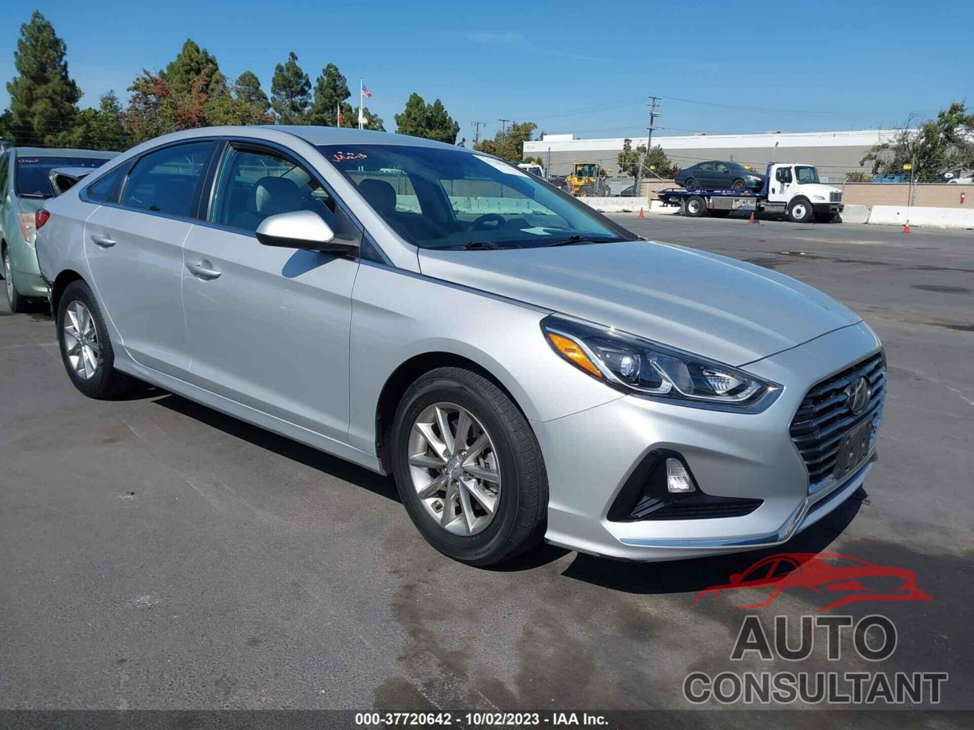 HYUNDAI SONATA 2019 - 5NPE24AF0KH756802