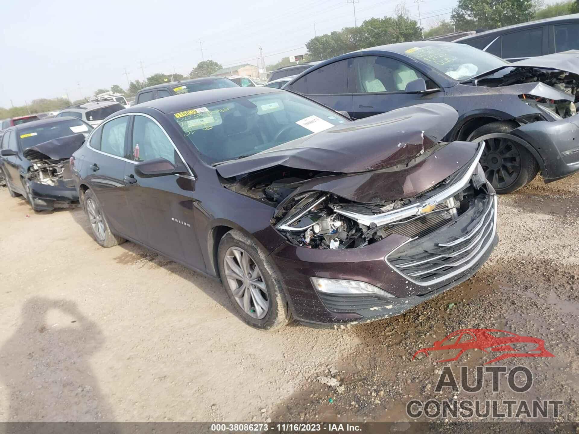 CHEVROLET MALIBU 2021 - 1G1ZD5ST7MF068565