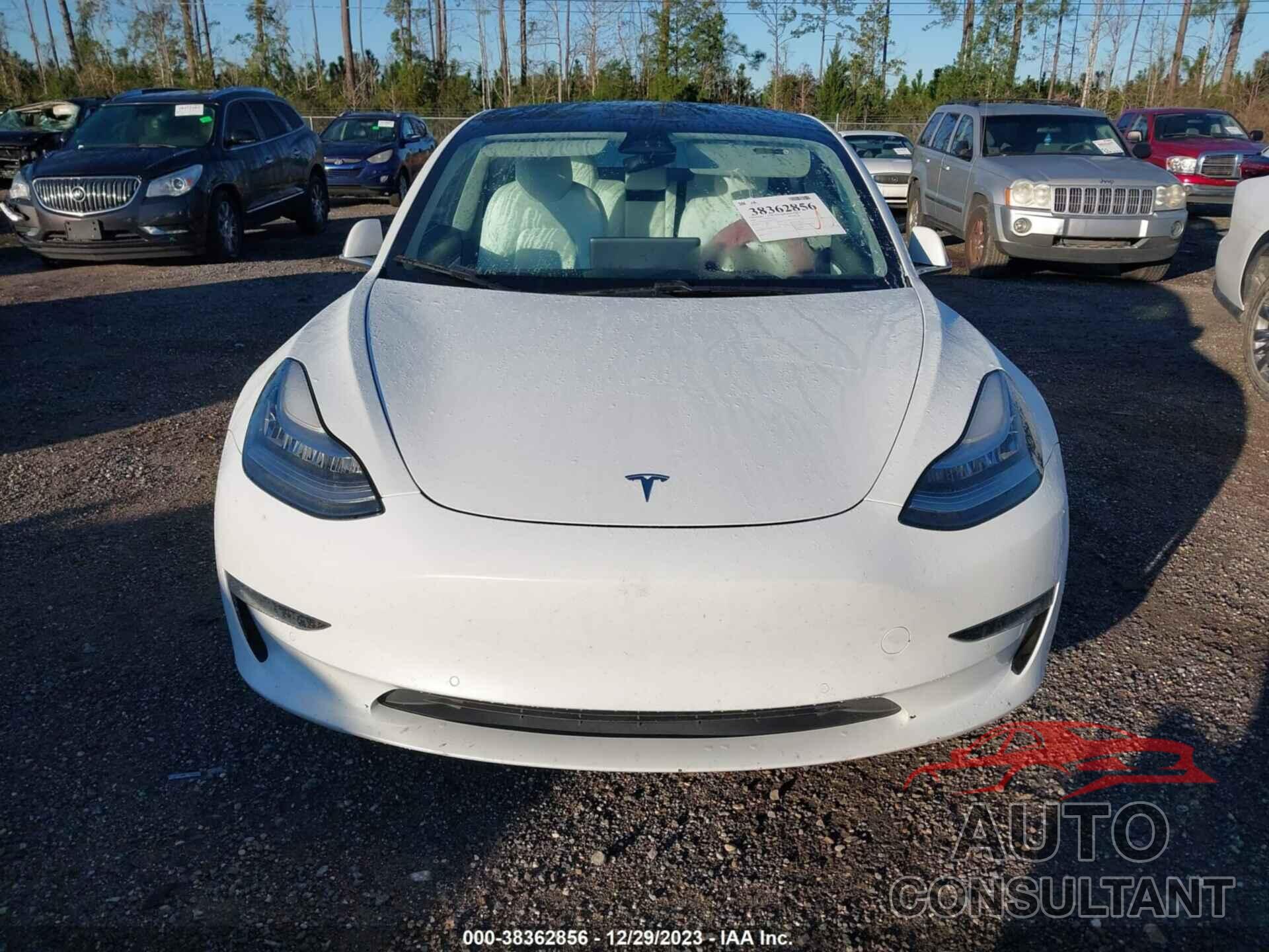 TESLA MODEL 3 2020 - 5YJ3E1EC2LF624976