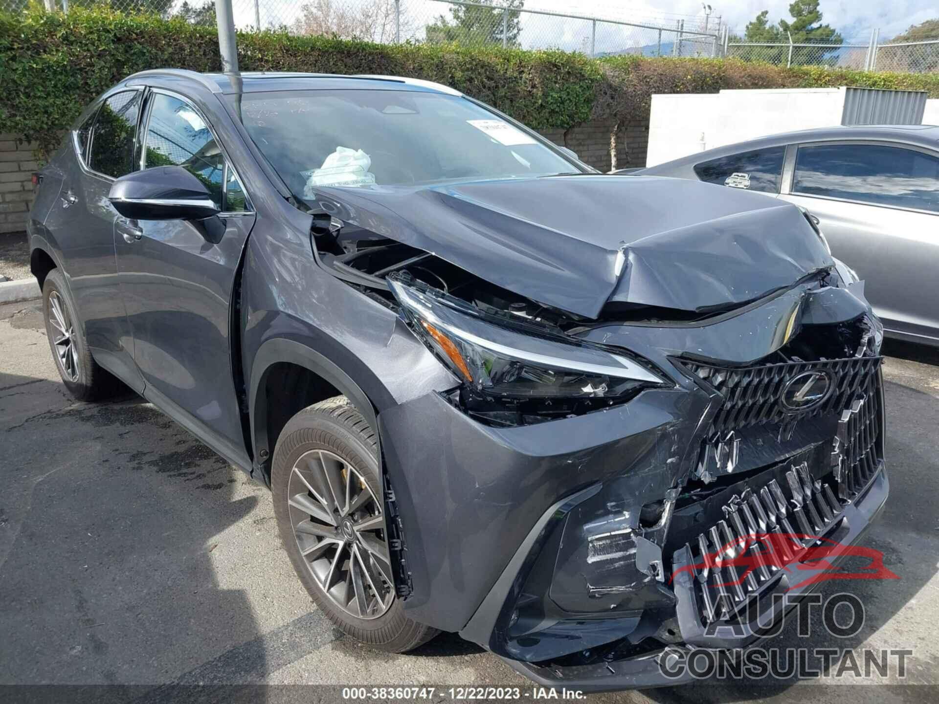 LEXUS NX 350H 2024 - JTJGKCEZ7R2026885
