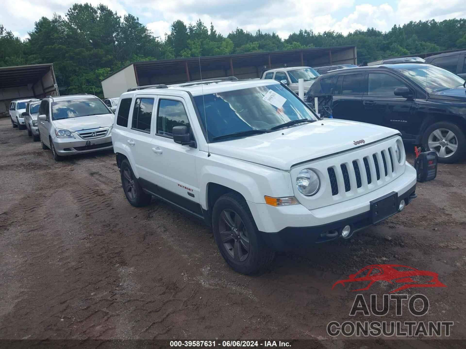 JEEP PATRIOT 2016 - 1C4NJRBB8GD790446