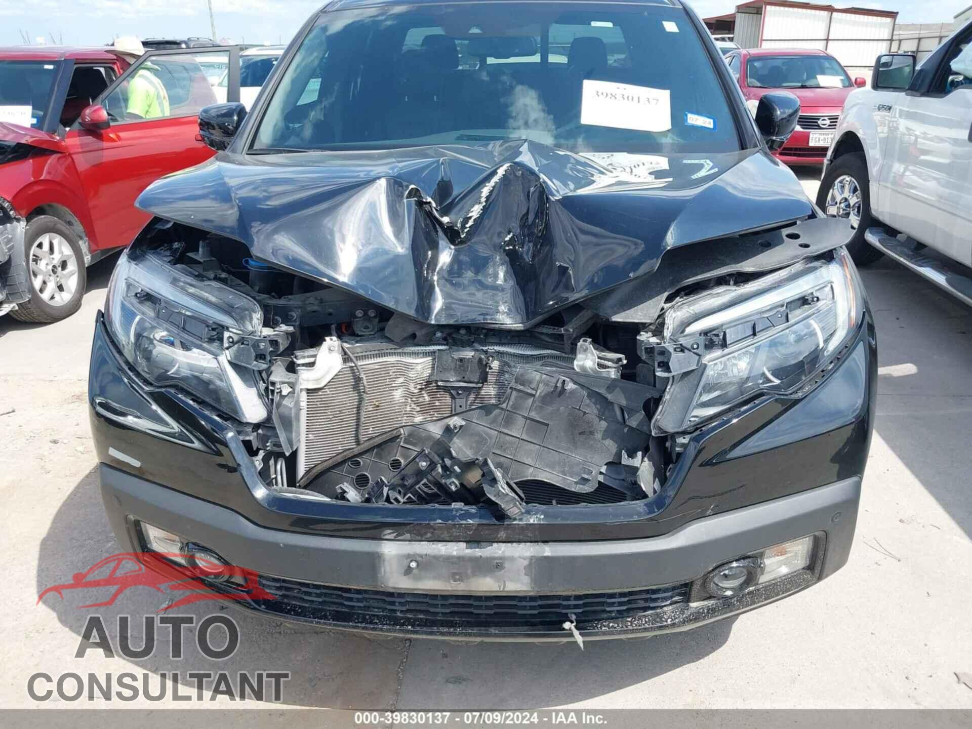 HONDA RIDGELINE 2019 - 5FPYK3F82KB038532