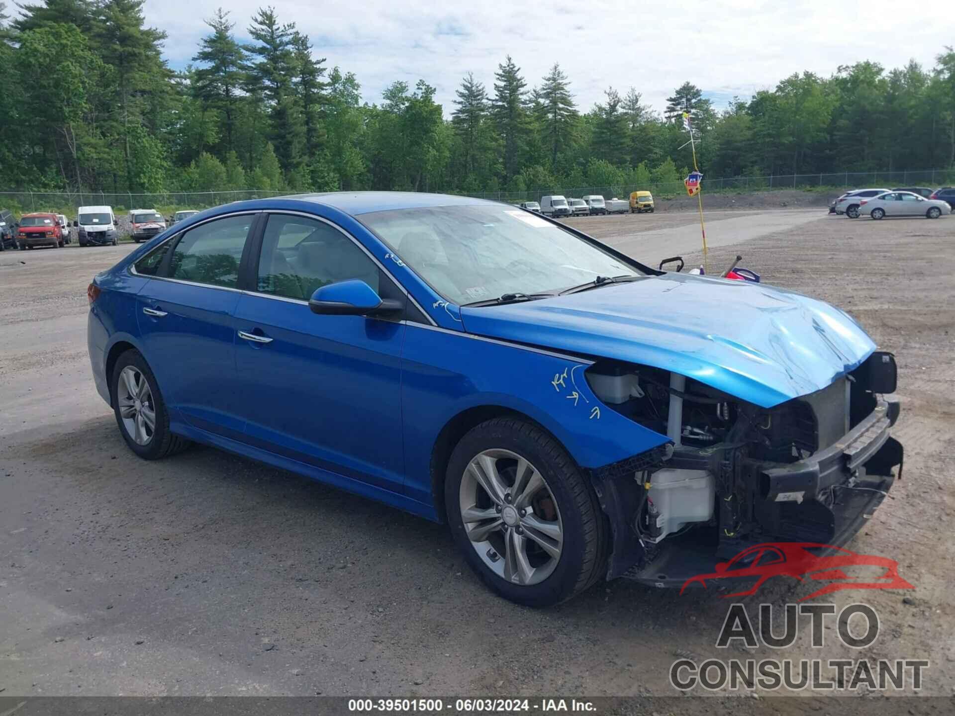 HYUNDAI SONATA 2019 - 5NPE34AF8KH764191