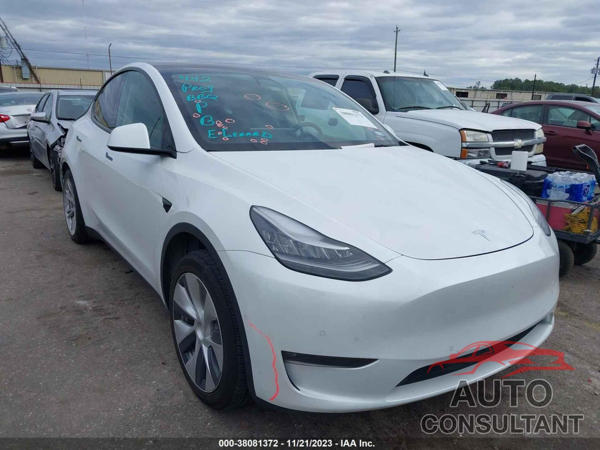 TESLA MODEL Y 2021 - 5YJYGAEDXMF177081