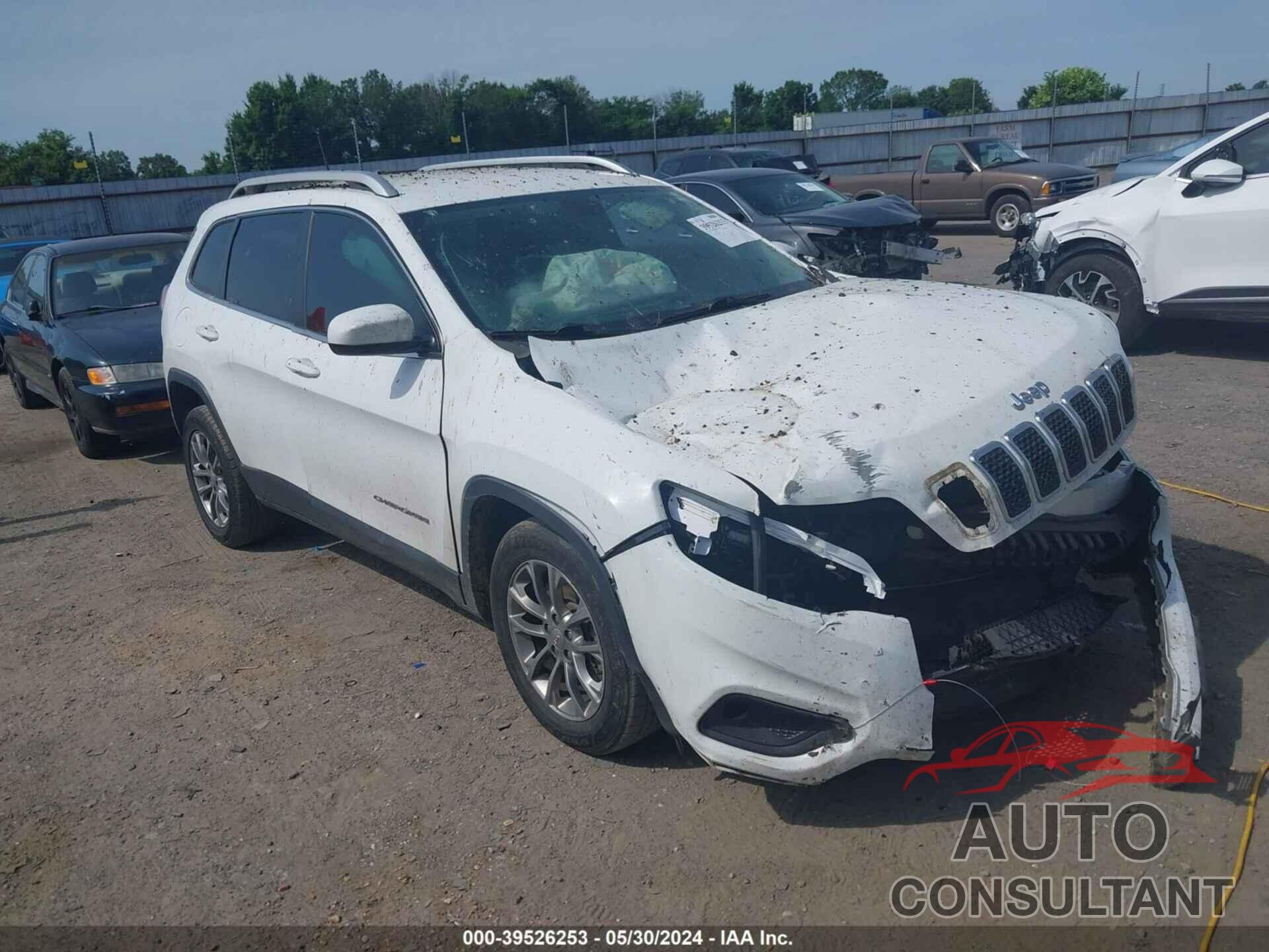 JEEP CHEROKEE 2019 - 1C4PJLLN0KD164302