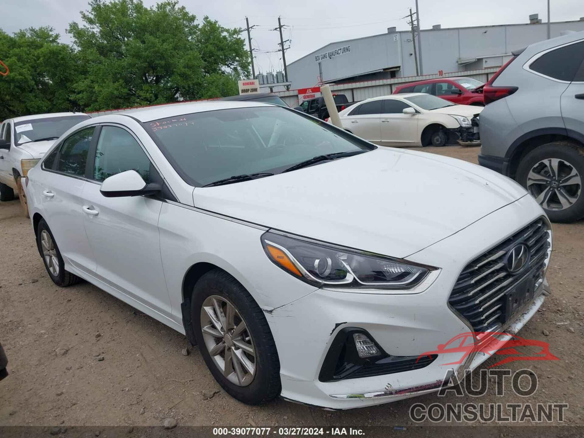 HYUNDAI SONATA 2019 - 5NPE24AF5KH806643