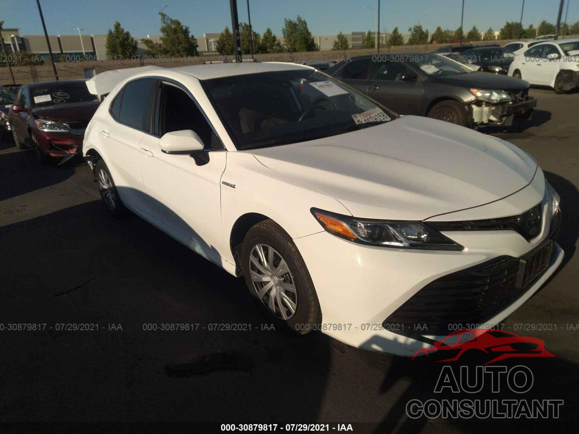 TOYOTA CAMRY 2019 - 4T1B31HK5KU509536