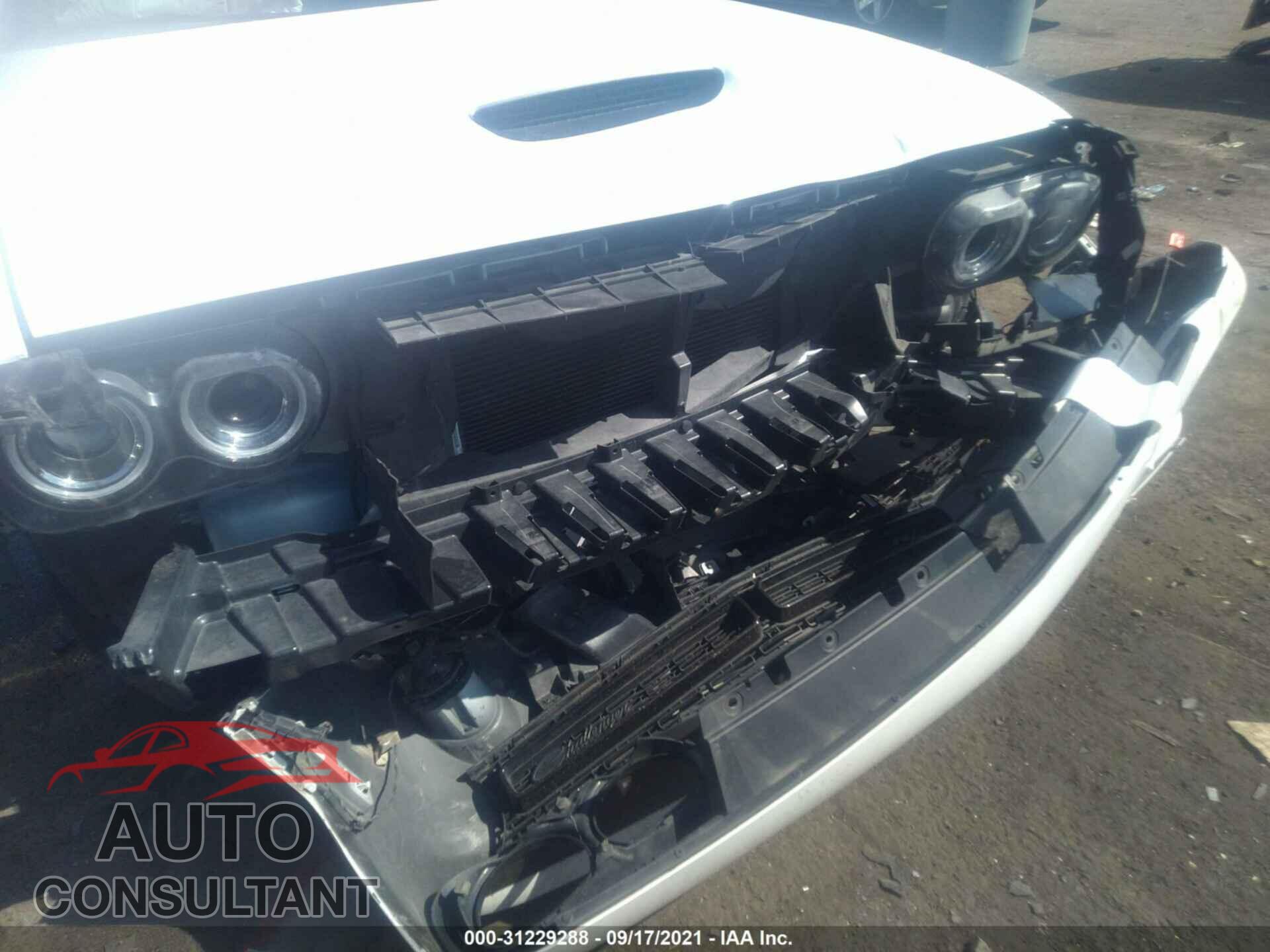 DODGE CHALLENGER 2019 - 2C3CDZBT9KH652437