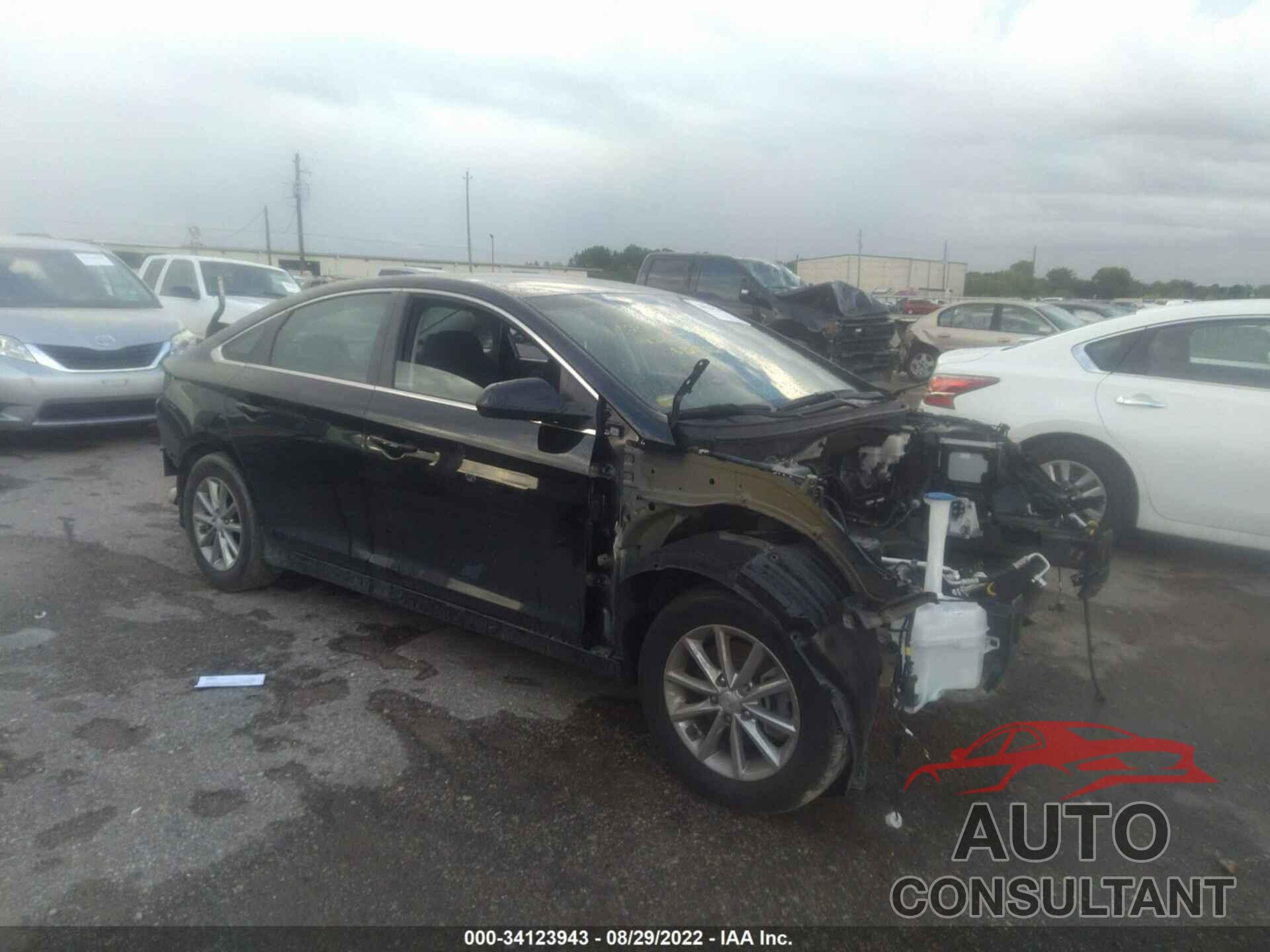 HYUNDAI SONATA 2019 - 5NPE24AF9KH740128