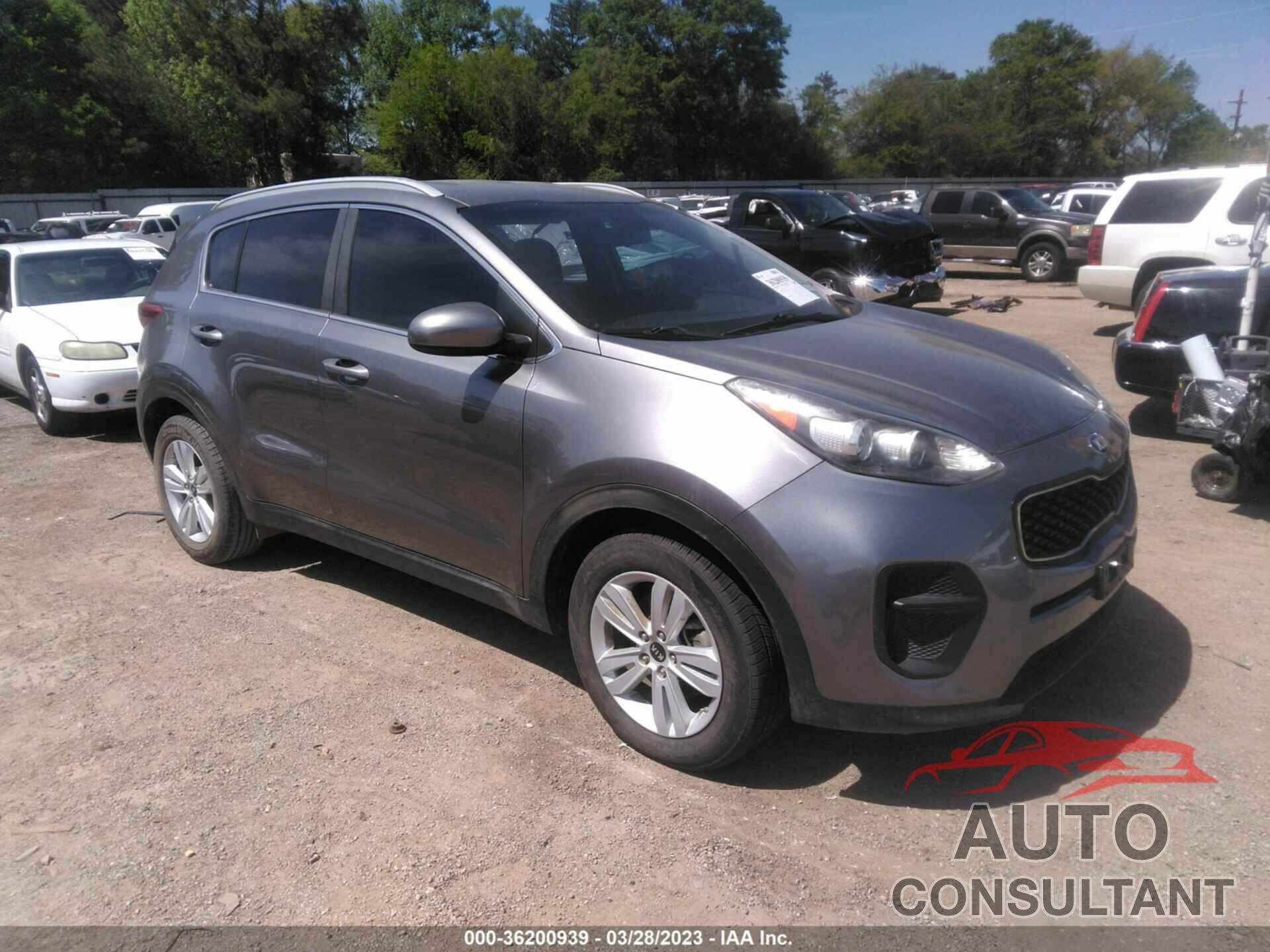 KIA SPORTAGE 2017 - KNDPM3AC7H7101309