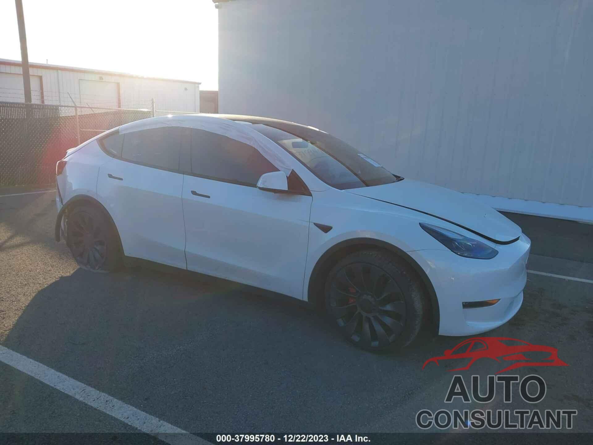 TESLA MODEL Y 2022 - 7SAYGDEF4NF312627