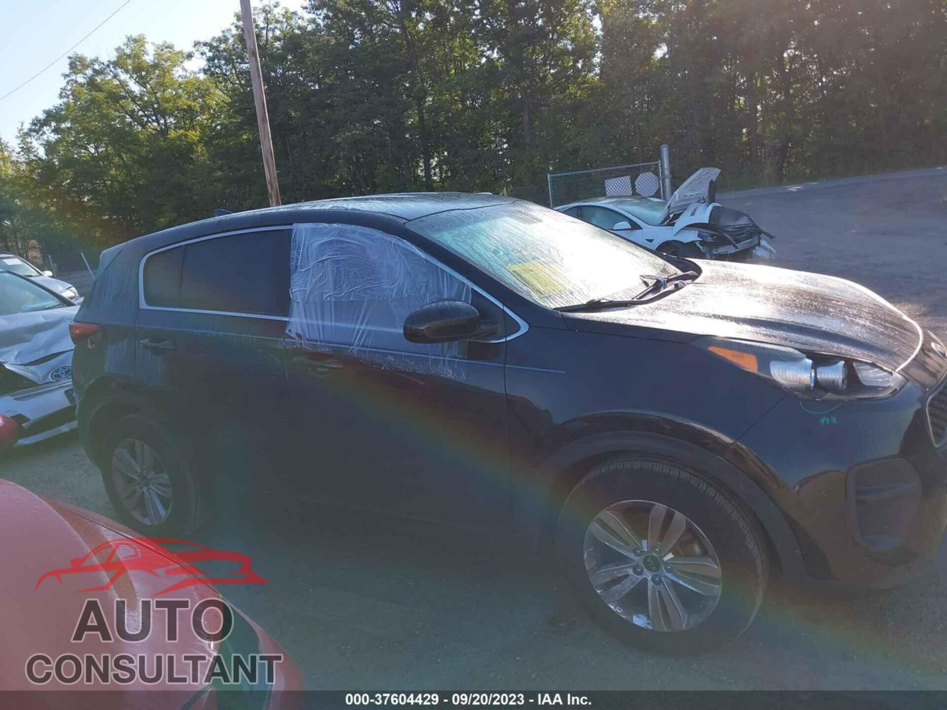 KIA SPORTAGE 2017 - KNDPM3ACXH7126608