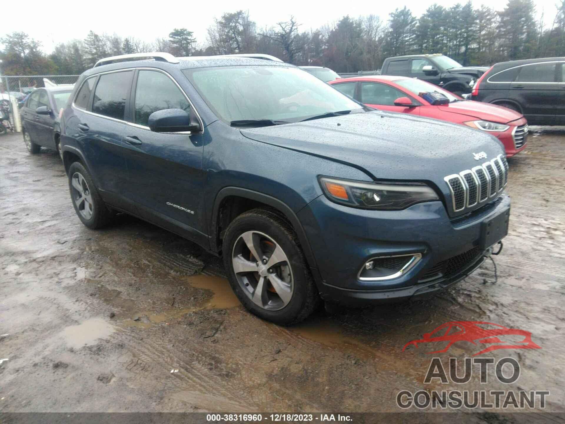 JEEP CHEROKEE 2019 - 1C4PJMDX2KD371473