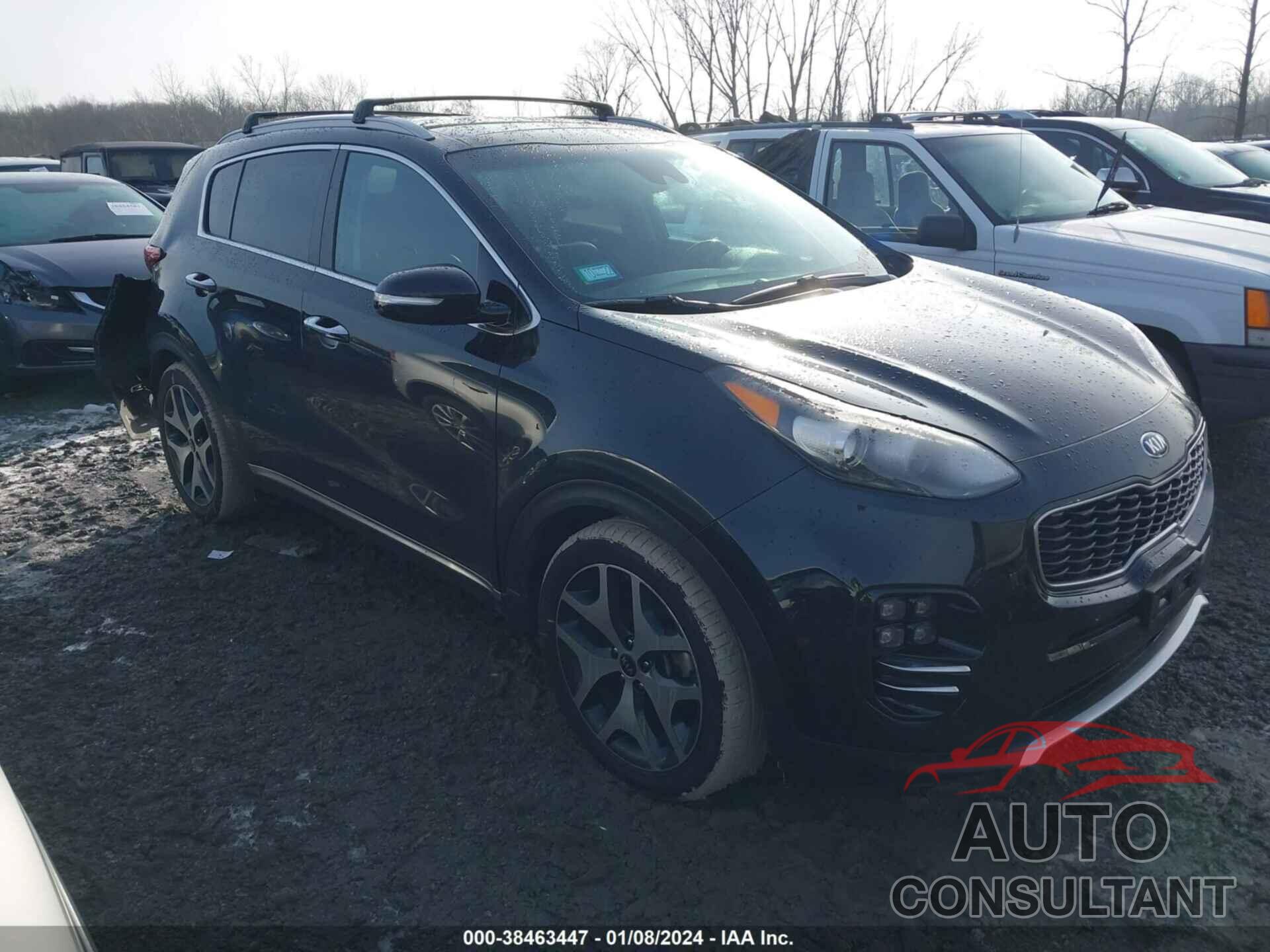 KIA SPORTAGE 2017 - KNDPR3A69H7067448