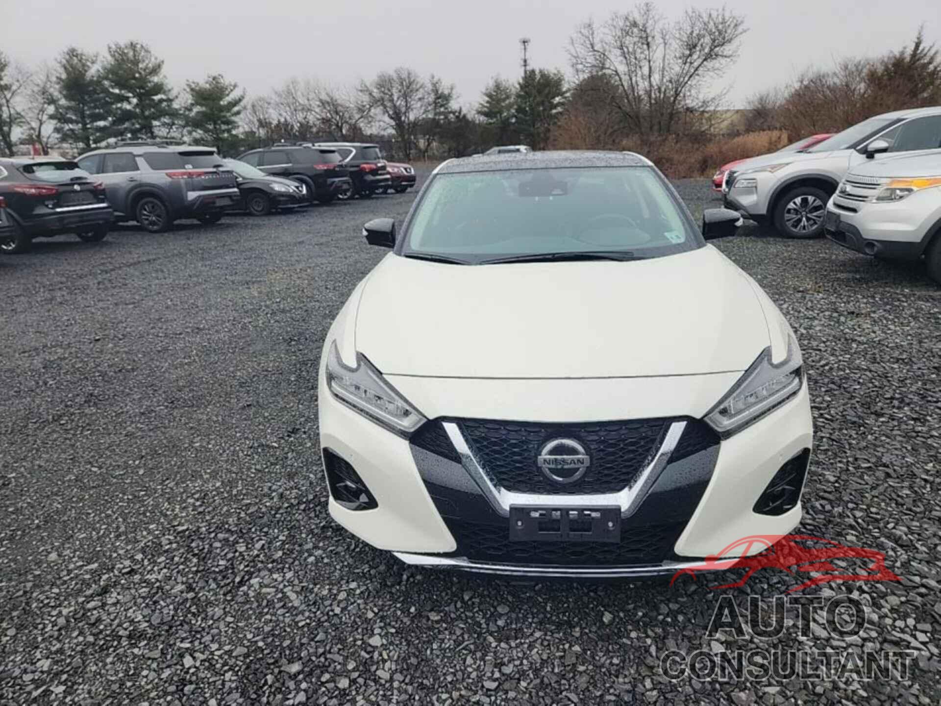 NISSAN MAXIMA 2021 - 1N4AA6FV5MC509275