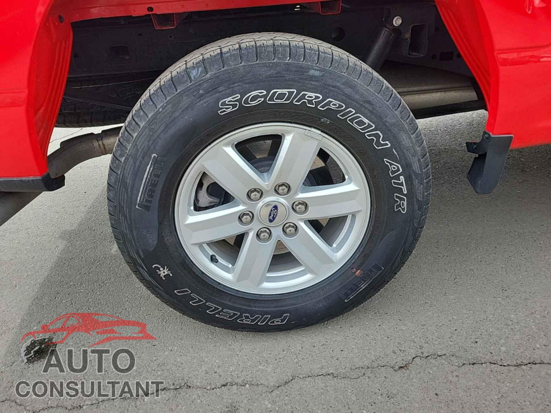 FORD F-150 2021 - 1FTMF1EB8MKF07531