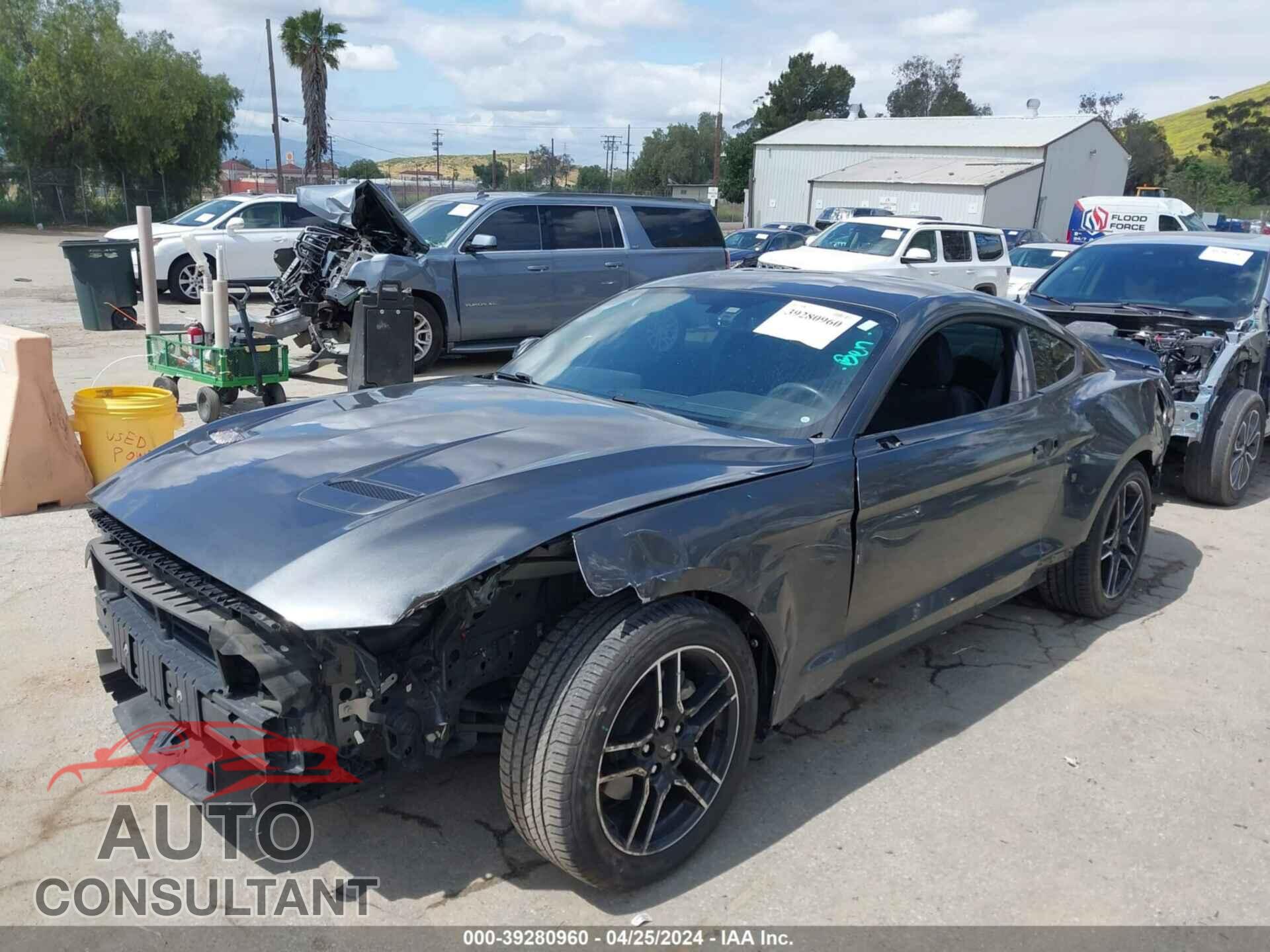 FORD MUSTANG 2019 - 1FA6P8TH2K5169213