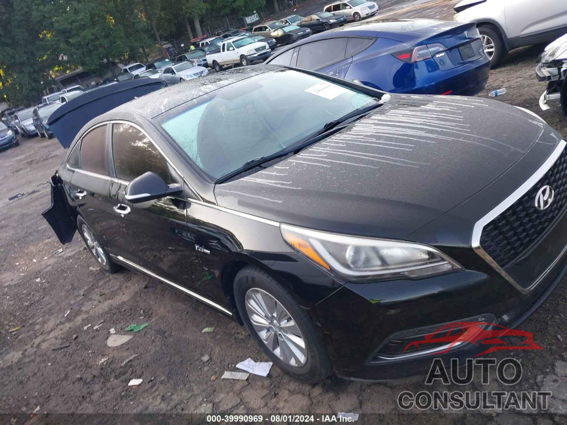 HYUNDAI SONATA HYBRID 2016 - KMHE24L13GA019086