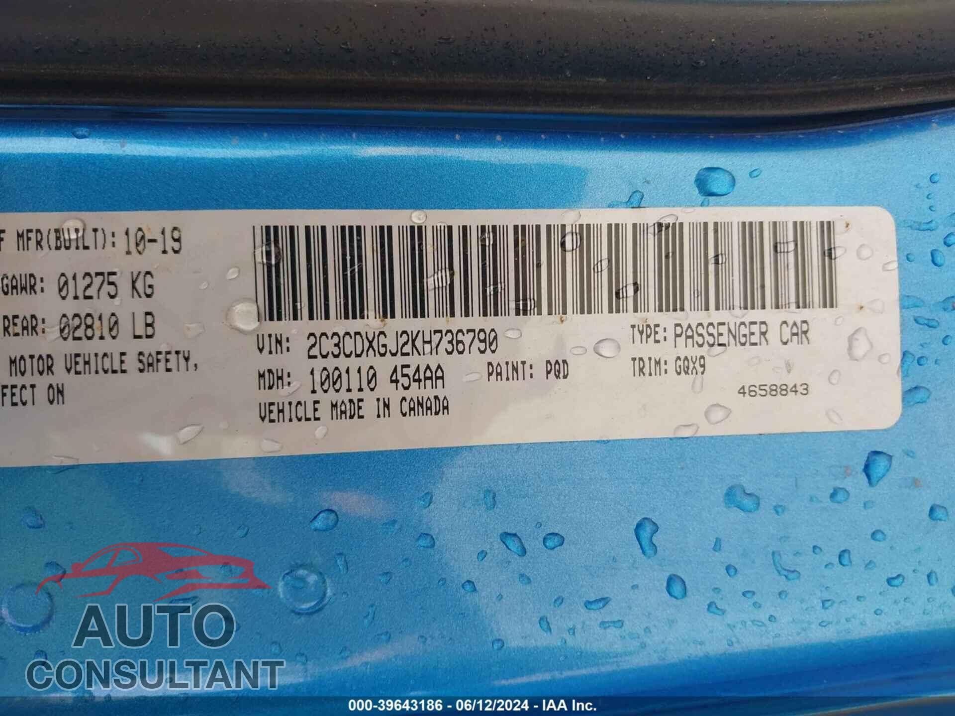 DODGE CHARGER 2019 - 2C3CDXGJ2KH736790