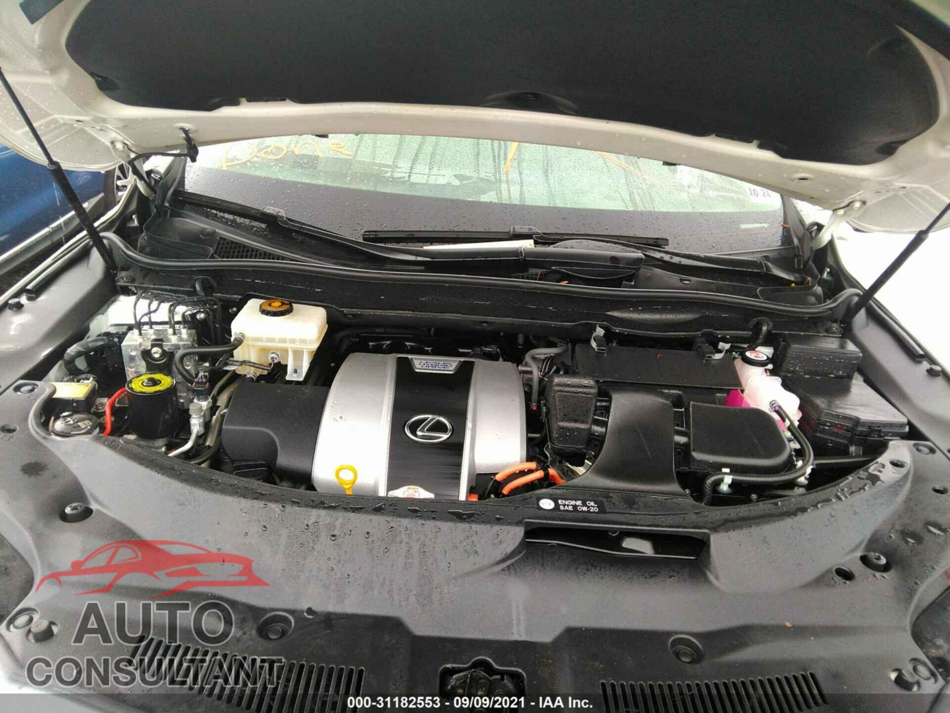 LEXUS RX 2019 - JTJDGKCA2K2008876