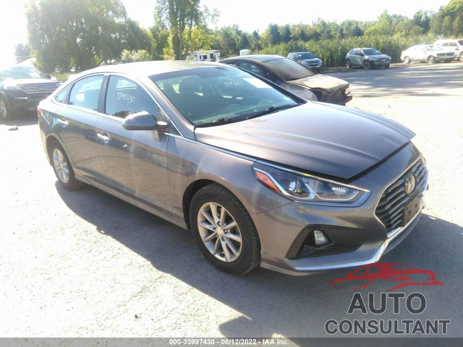 HYUNDAI SONATA 2019 - 5NPE24AF6KH756769