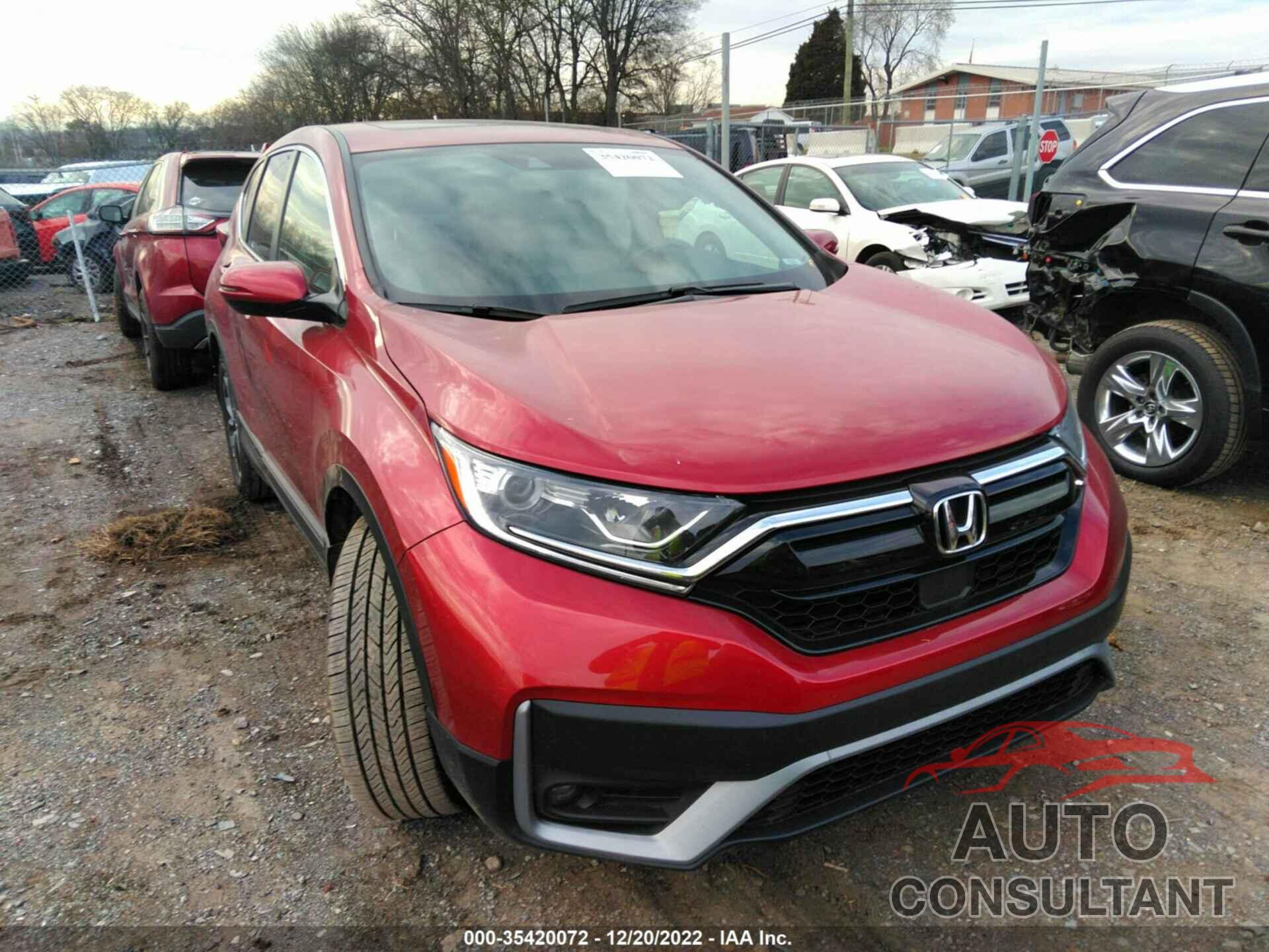 HONDA CR-V 2021 - 5J6RW1H53ML004246