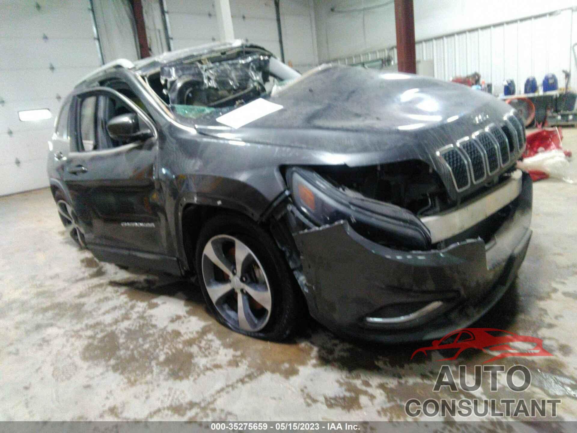 JEEP CHEROKEE 2019 - 1C4PJMDX1KD321602