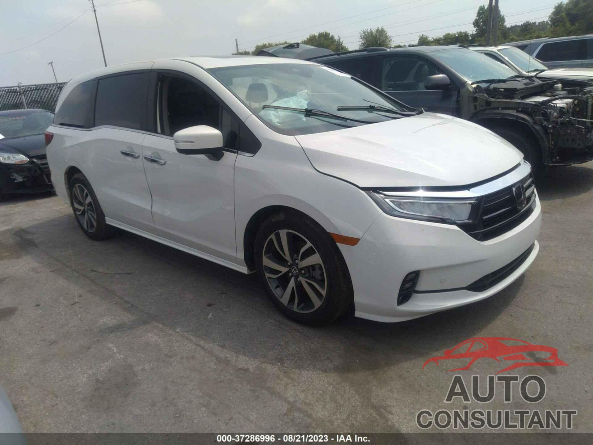 HONDA ODYSSEY 2023 - 5FNRL6H86PB049825