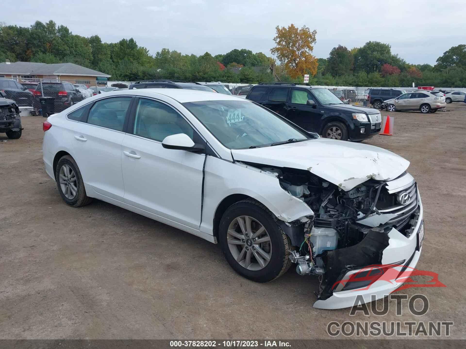 HYUNDAI SONATA 2016 - 5NPE24AF7GH362141