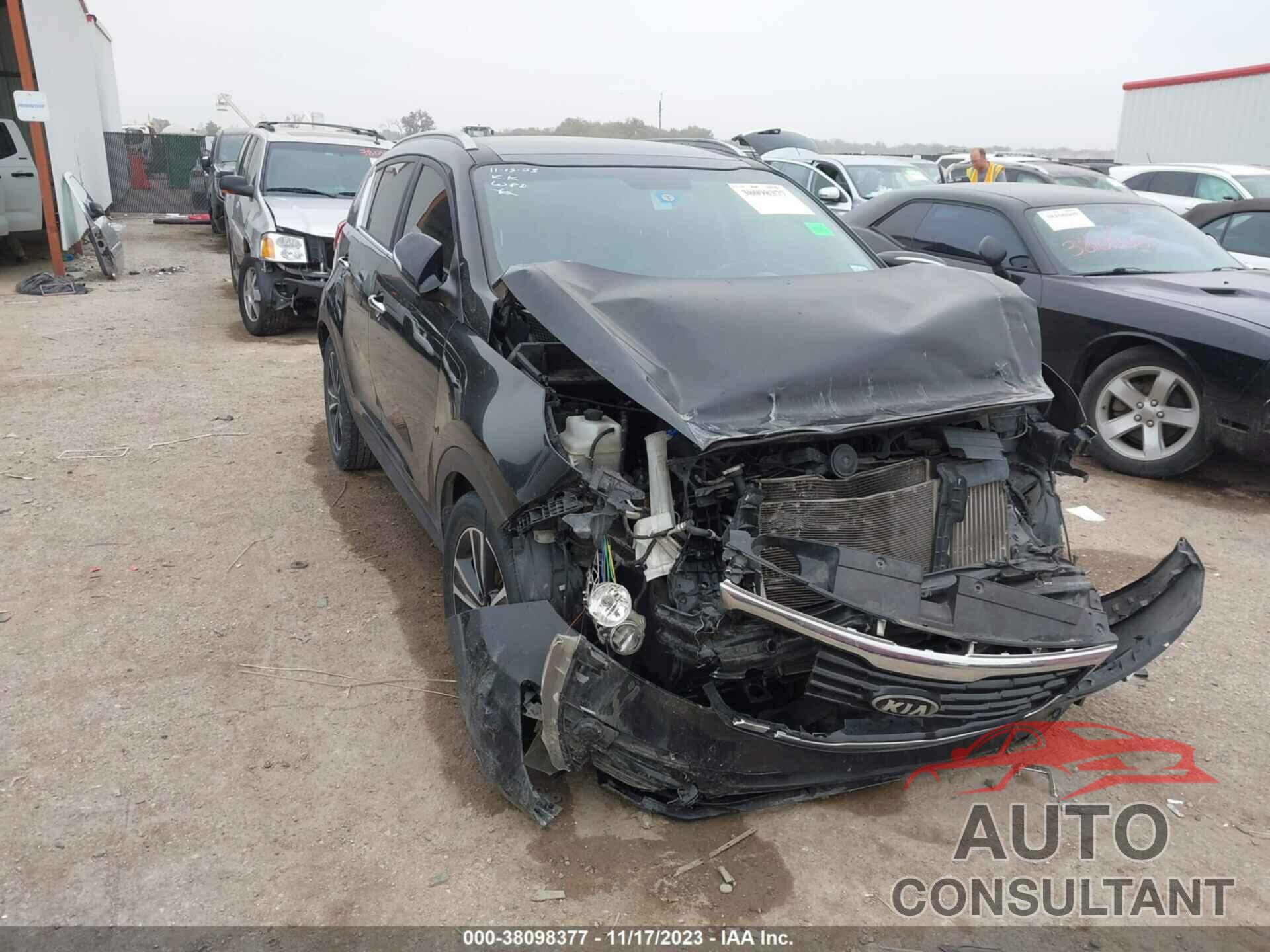 KIA SPORTAGE 2016 - KNDPC3A66G7815508