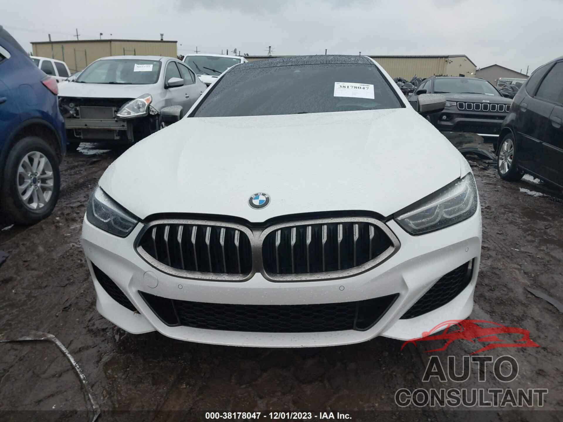 BMW 8 SERIES 2020 - WBAGV8C03LCE51341