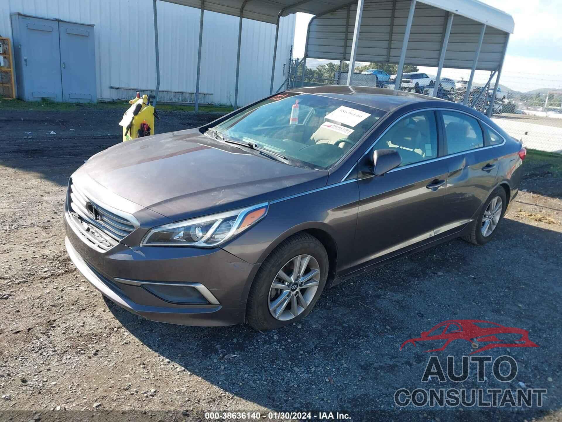 HYUNDAI SONATA 2017 - 5NPE24AF5HH543000