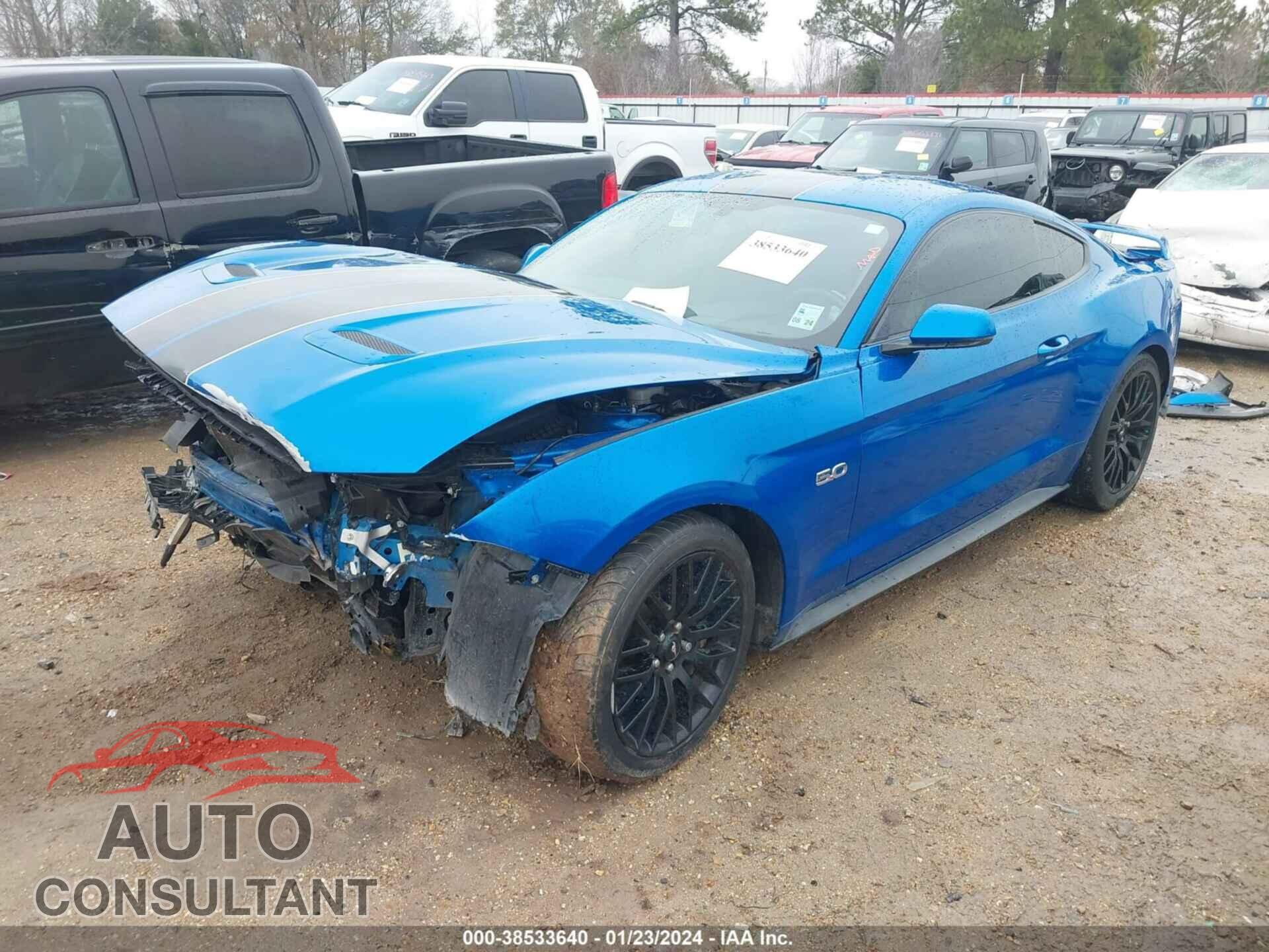 FORD MUSTANG 2019 - 1FA6P8CF2K5146934
