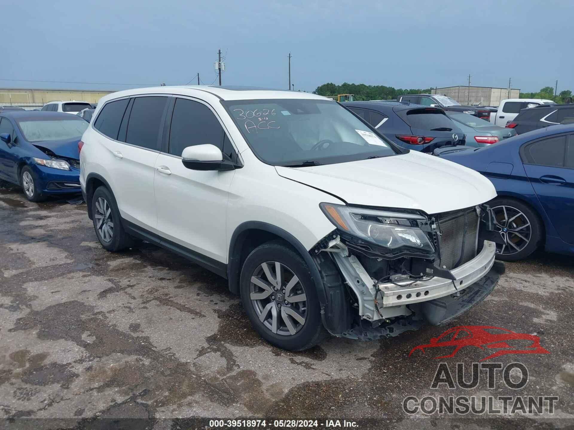 HONDA PILOT 2019 - 5FNYF6H55KB081845